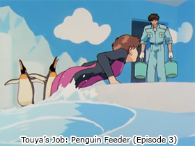 Touya's Job: Penguin Feeder (Episode 3)